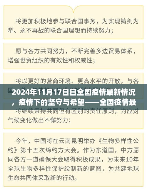 2024年11月17日日全国疫情最新情况，疫情下的坚守与希望——全国疫情最新情况回顾