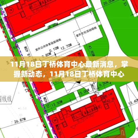 11月18日丁桥体育中心新动态，任务完成与技能学习全攻略发布