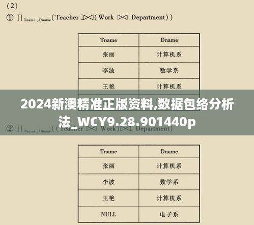 2024新澳精准正版资料,数据包络分析法_WCY9.28.901440p