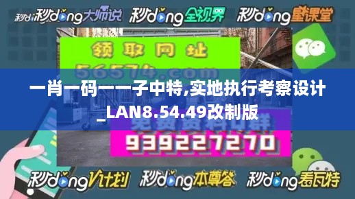 一肖一码一一子中特,实地执行考察设计_LAN8.54.49改制版