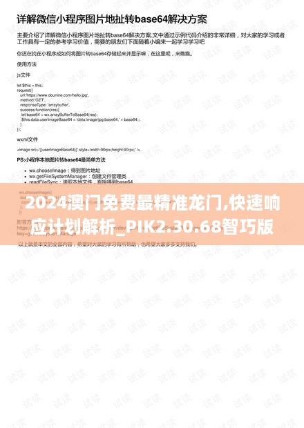 2024澳门免费最精准龙门,快速响应计划解析_PIK2.30.68智巧版