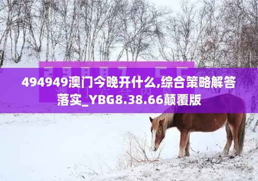 494949澳门今晚开什么,综合策略解答落实_YBG8.38.66颠覆版