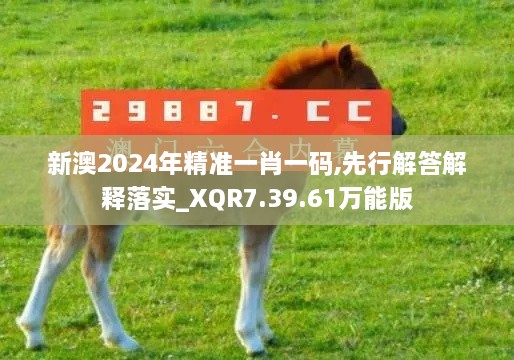 新澳2024年精准一肖一码,先行解答解释落实_XQR7.39.61万能版