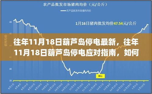 往年11月18日葫芦岛停电信息及应对指南，停电前的准备与应对措施