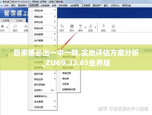 管家婆必出一中一特,实地评估方案分析_ZUG9.33.85业界版