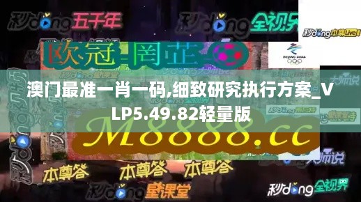 澳门最准一肖一码,细致研究执行方案_VLP5.49.82轻量版