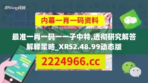 最准一肖一码一一孑中特,透彻研究解答解释策略_XRS2.48.99动态版