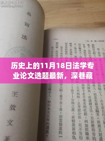 揭秘历史上的11月18日法学专业论文选题，深巷藏法学瑰宝，最新选题一览无余