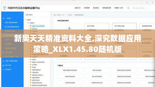 新奥天天精准资料大全,深究数据应用策略_XLX1.45.80随机版