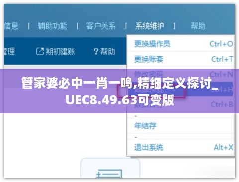 管家婆必中一肖一鸣,精细定义探讨_UEC8.49.63可变版