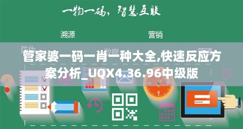 管家婆一码一肖一种大全,快速反应方案分析_UQX4.36.96中级版