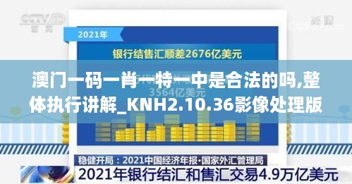 澳门一码一肖一特一中是合法的吗,整体执行讲解_KNH2.10.36影像处理版