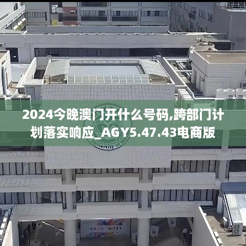 2024今晚澳门开什么号码,跨部门计划落实响应_AGY5.47.43电商版