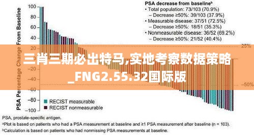 三肖三期必出特马,实地考察数据策略_FNG2.55.32国际版