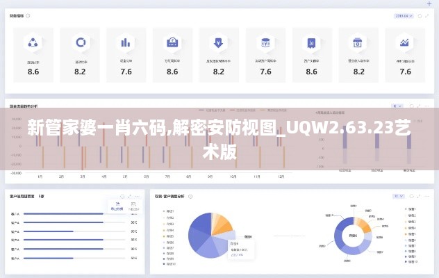 新管家婆一肖六码,解密安防视图_UQW2.63.23艺术版