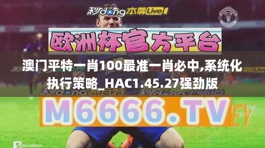 澳门平特一肖100最准一肖必中,系统化执行策略_HAC1.45.27强劲版