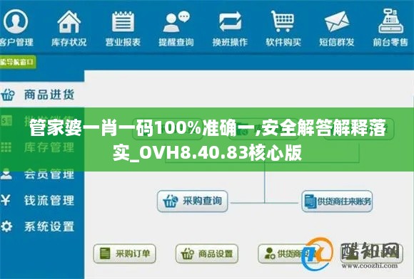 管家婆一肖一码100%准确一,安全解答解释落实_OVH8.40.83核心版