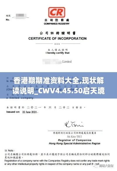 香港期期准资料大全,现状解读说明_CWV4.45.50启天境