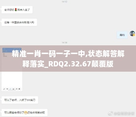 精准一肖一码一子一中,状态解答解释落实_RDQ2.32.67颠覆版