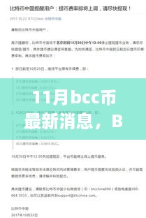 11月BCC币最新动态及领域地位探索，背景与重大事件全解析