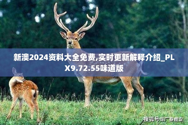 新澳2024资料大全免费,实时更新解释介绍_PLX9.72.55味道版