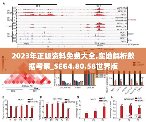 2023年正版资料免费大全,实地解析数据考察_SEG4.80.58世界版