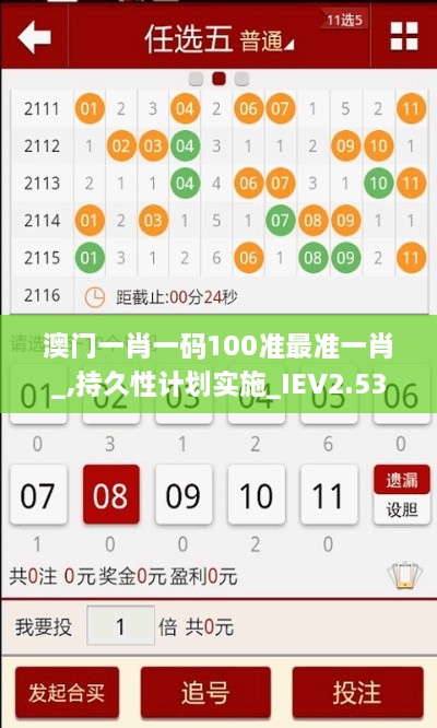 澳门一肖一码100准最准一肖_,持久性计划实施_IEV2.53.64家庭影院版