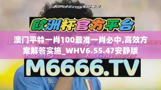 澳门平特一肖100最准一肖必中,高效方案解答实施_WHV6.55.47安静版