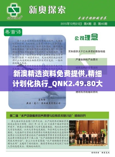 新澳精选资料免费提供,精细计划化执行_QNK2.49.80大师版