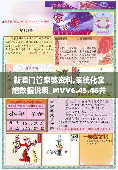 新澳门管家婆资料,系统化实施数据说明_MVV6.45.46并发版