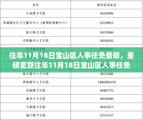 往年11月18日宝山区人事任免深度解析，人事调整背后的意义与最新动态重磅更新