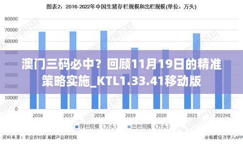 澳门三码必中？回顾11月19日的精准策略实施_KTL1.33.41移动版