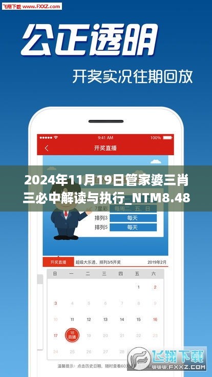 2024年11月19日管家婆三肖三必中解读与执行_NTM8.48.21桌面版