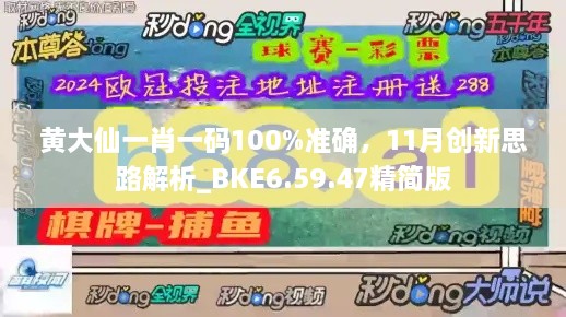 黄大仙一肖一码100%准确，11月创新思路解析_BKE6.59.47精简版