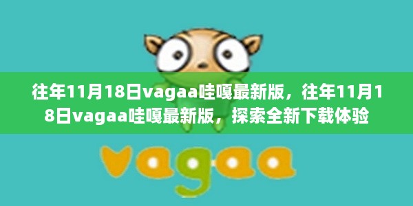 往年11月18日Vagaa哇嘎最新版，全新下载体验探索