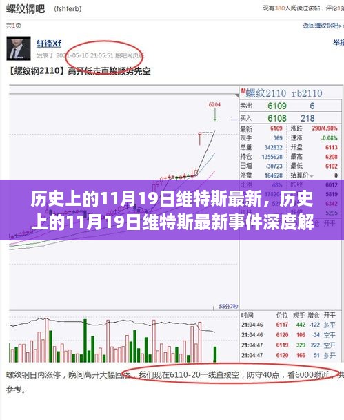 历史上的11月19日维特斯事件深度解析与立场表达