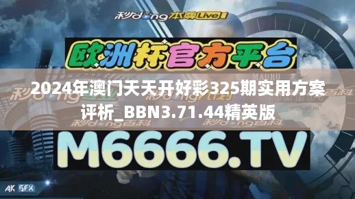 2024年澳门天天开好彩325期实用方案评析_BBN3.71.44精英版