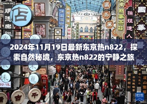 探索自然秘境，东京热n822宁静之旅的最新体验（2024年11月19日）