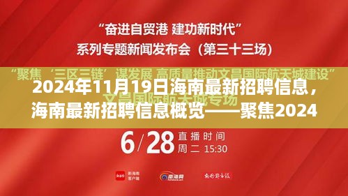 聚焦职场动态，海南最新招聘信息概览——2024年11月19日更新