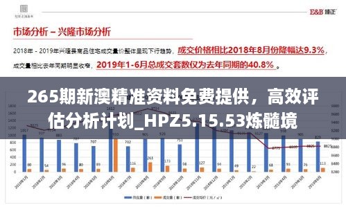 265期新澳精准资料免费提供，高效评估分析计划_HPZ5.15.53炼髓境