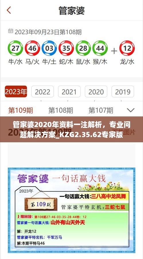 管家婆2020年资料一注解析，专业问题解决方案_KZG2.35.62专家版