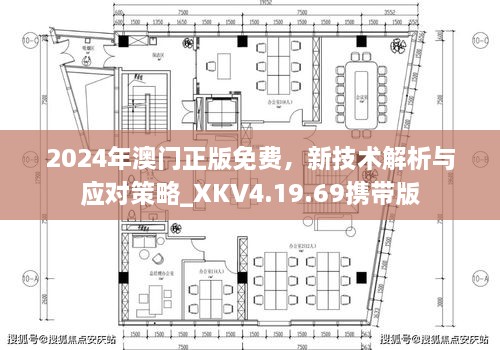 2024年澳门正版免费，新技术解析与应对策略_XKV4.19.69携带版