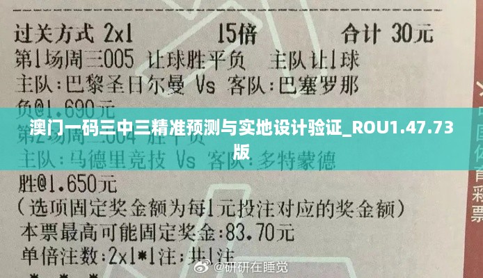 澳门一码三中三精准预测与实地设计验证_ROU1.47.73版