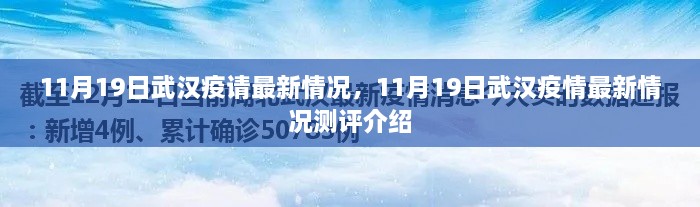 11月19日武汉疫情最新情况详解与测评