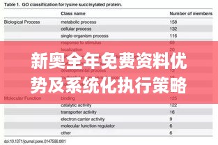 新奥全年免费资料优势及系统化执行策略_WQL2.11.77版