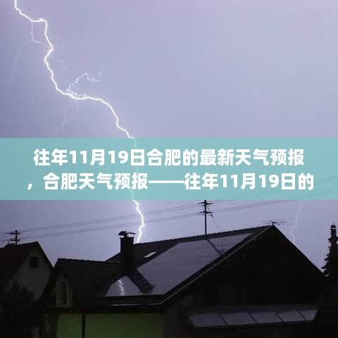 合肥往年11月19日天气预报概览，天气洞察与最新预报揭秘