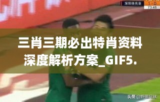 三肖三期必出特肖资料深度解析方案_GIF5.53.54艺术版