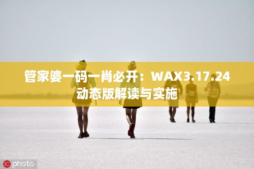 管家婆一码一肖必开：WAX3.17.24动态版解读与实施