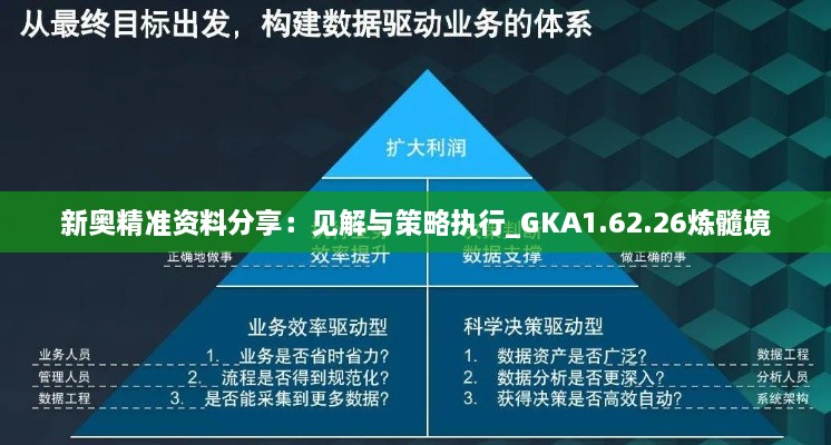 新奥精准资料分享：见解与策略执行_GKA1.62.26炼髓境