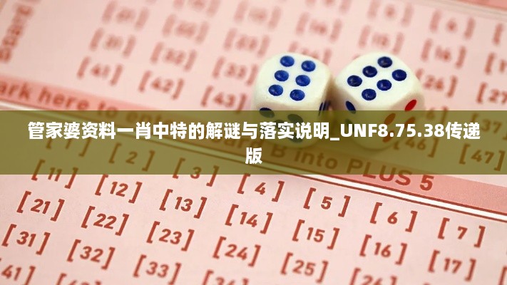 管家婆资料一肖中特的解谜与落实说明_UNF8.75.38传递版